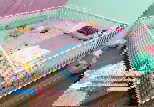 ซื้อขายคอกกั้นเด็ก