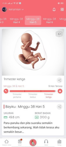 ngeflek tapi mules nya tidak teratur