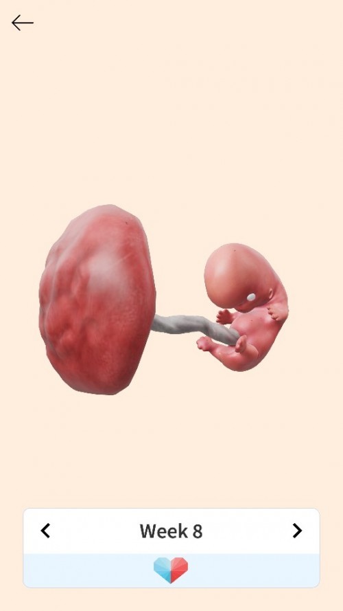 Jerawat pada masa kehamilan