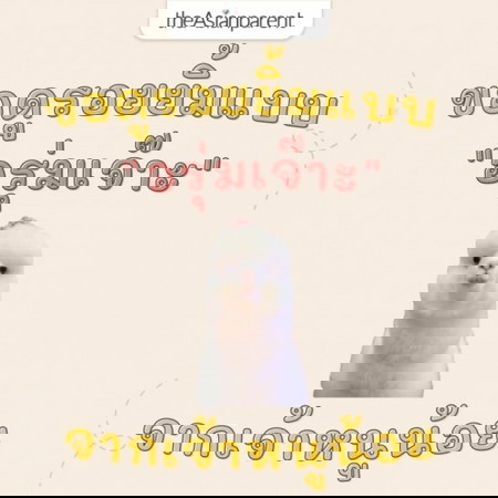 ขอดูเจ้าหนูน้อยหน้าพริ้ม รอยยิ้มอรุ่มเจ๊าะหน่อยค่า 😊