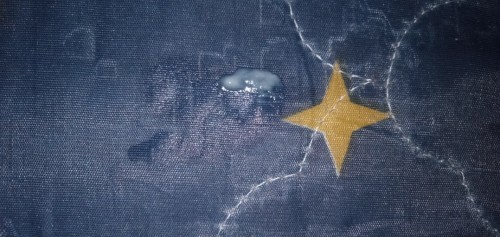 ปวดท้องน้อย