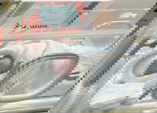 พาน้องมารายงานตัวค่ะ