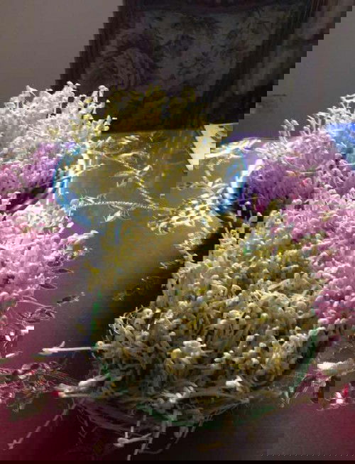 Beansprout/ Togue Maker