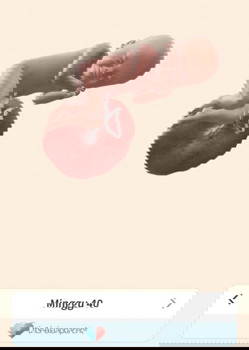 40 weeks HPL hari ini