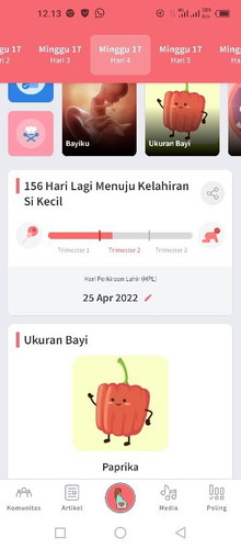 seputar kehamilan