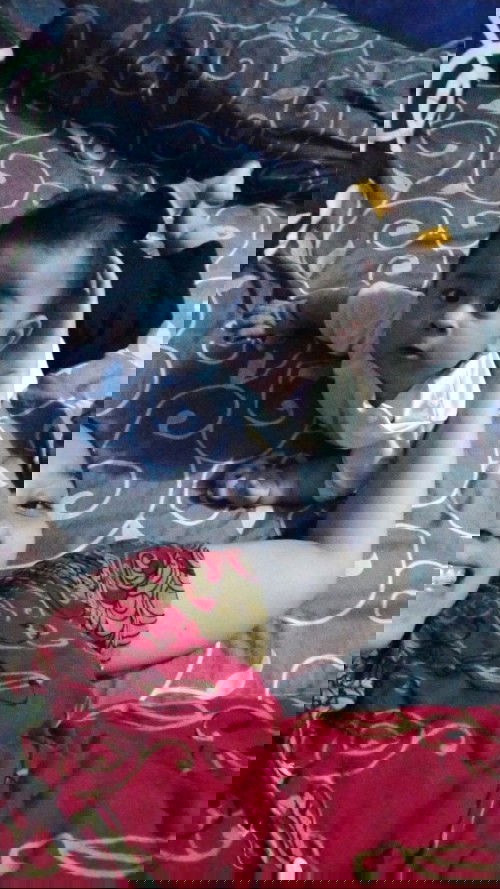 #sharing#berbagiinformasi#
Berbagi