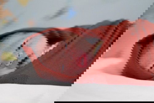 HPL November 2021 Udah Lahir