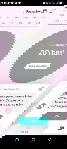 Merencanakan kehamilan
