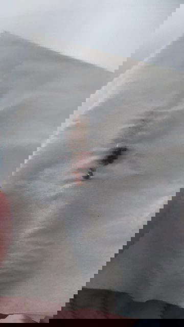 Gumpalan saat hamil muda