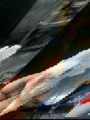 วันนี้ไปหาหมอปากมดลูกเปิด 2 เซน ถามแม่ๆหน่อยค่ะ