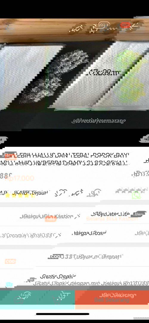 Bun babynya apa ada yang pakai ini