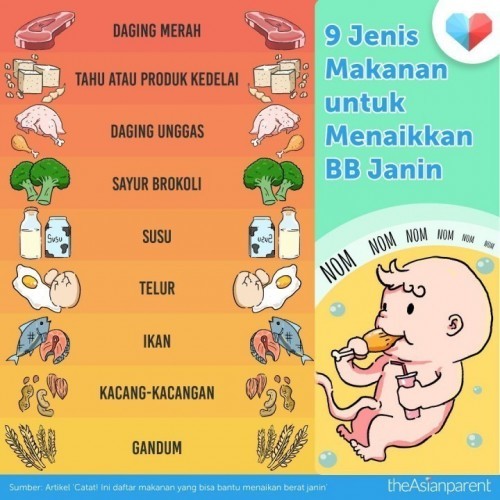 Makanan yang menaikan BB Janin
