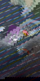 ขอคำแนะนำจากแม่ๆ