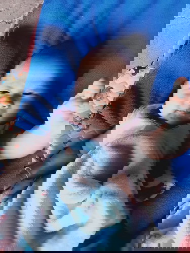 1 เดือน 20 วัน♥️♥️