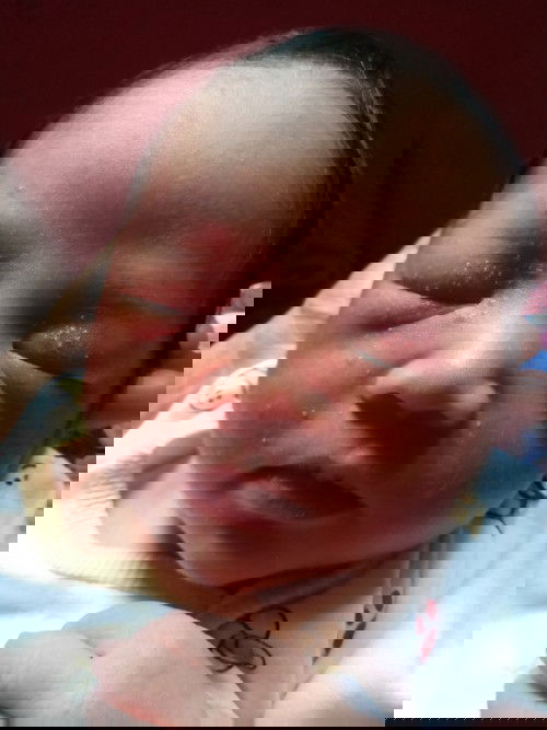 layenlayen53@gmail.com