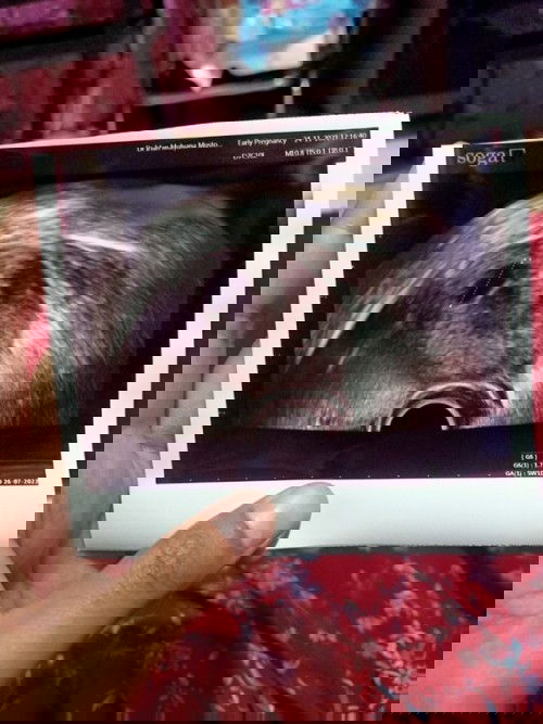 Minta doanya untuk 40 orang yg mendoakan semoga dikabulkan oleh Allah swt😇