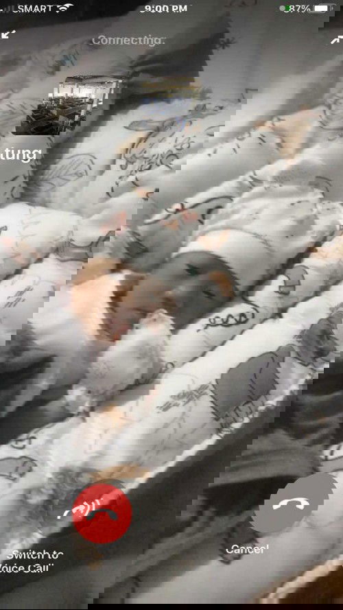 Nakaraos na ako mga miii.
2.8 c LO ko 
Nov 19 @ 7:25am cxa lumabas.
Normal delivery 6hrs labor at 4push lang lumabas aga