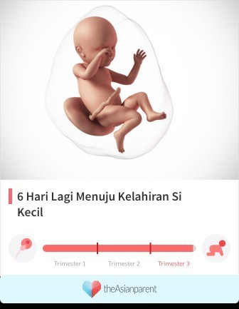 Hpl bidan 2 des, hpl usg 27 nov