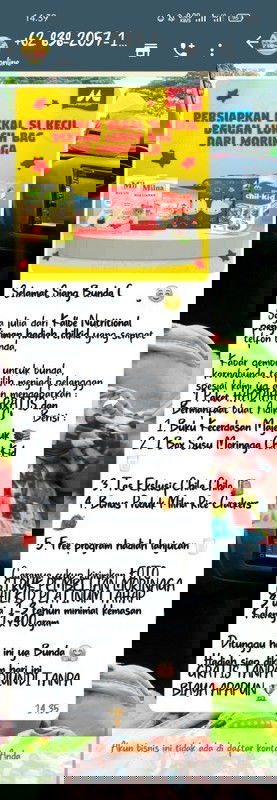 Reward Morinaga platinum