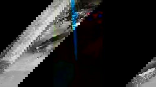 xử lý khi bị chó cắn