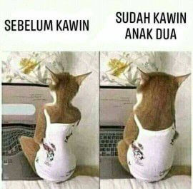 Cara nambah bb ibu hamil