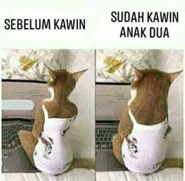 Cara nambah bb ibu hamil