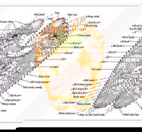 Dành cho các mom hay người thân