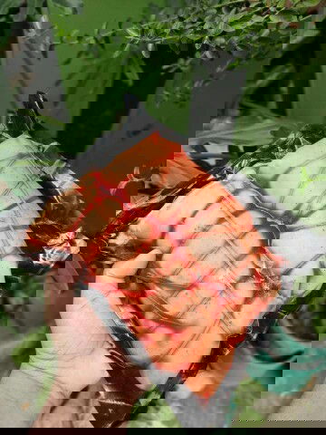 PANG GIVE AWAY'S OR HANDA