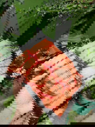 PANG GIVE AWAY'S OR HANDA