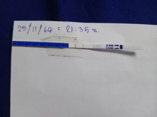 ตรวจไข่ตกค่ะ