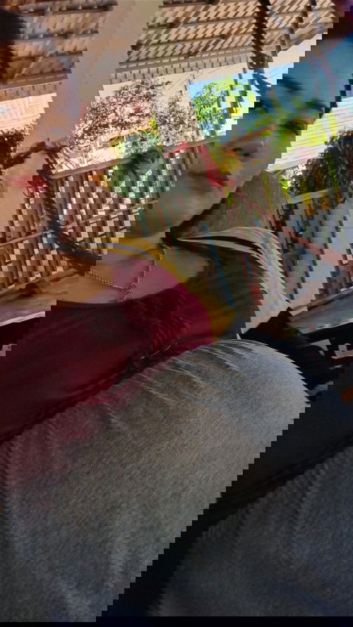 สอบถามแม่ๆหน่อยคค่ะท้อง 22  สัปดาห์ลูกดิ้นยังค่ะ