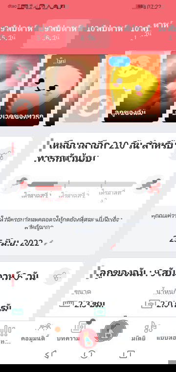 ตั้งครรภ์​