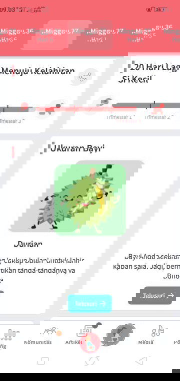 37week masih sungsang?