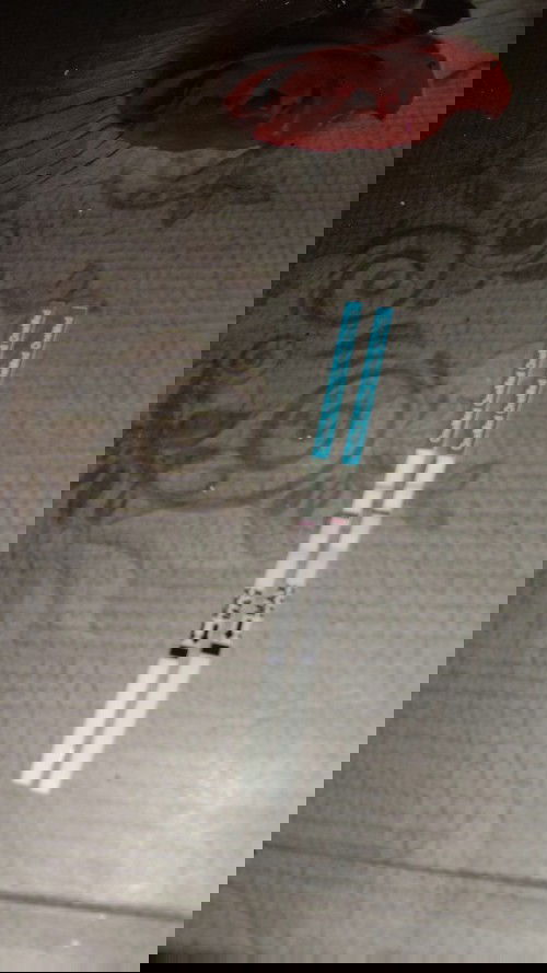 Brpa minggu saya hamil