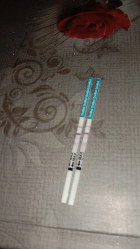 Brpa minggu saya hamil