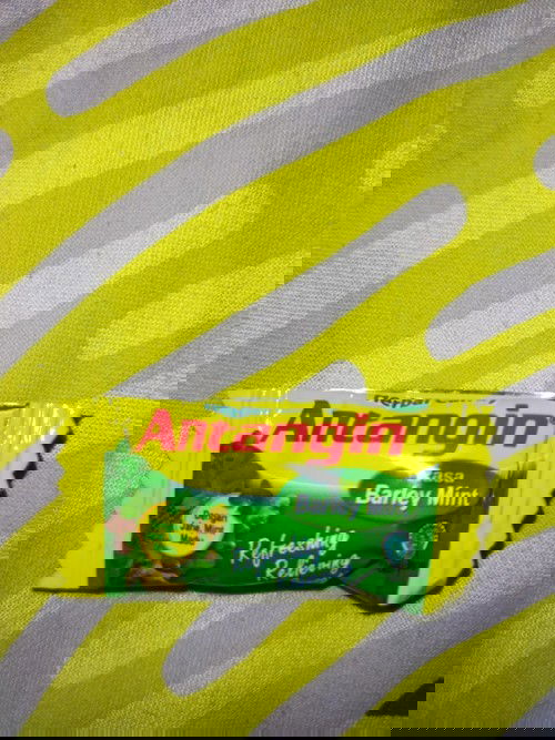 Mengalami morning sickness