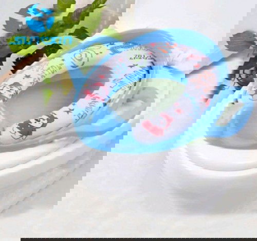 Potty toilet training