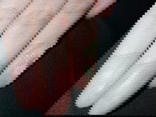 mucus plug o normal discharge?