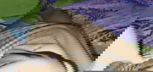 Sakit di daerah tulang rusuk kiri depan ,