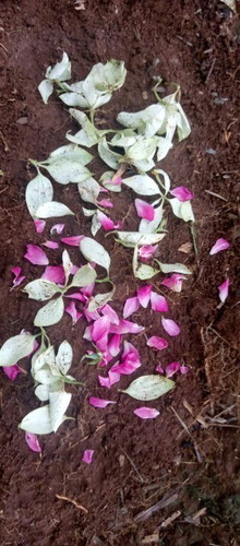 Butuh doa dari 40 orang😇