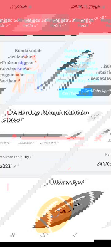 Apakah sudah mau melahirkan