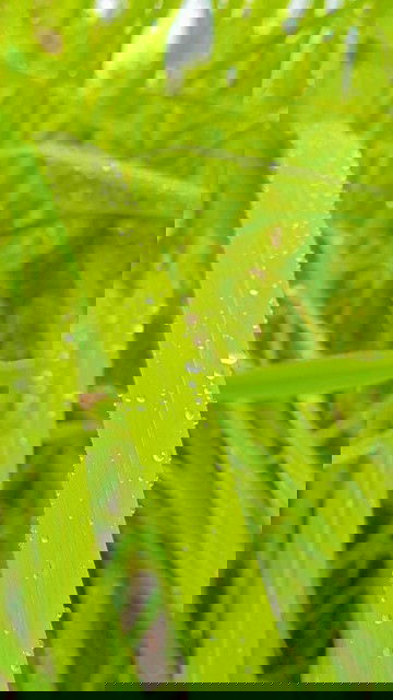 คุณแม่ๆเปนแบบนี้กันไหมเอ่ย?