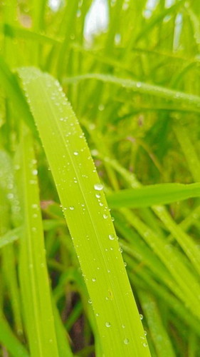 คุณแม่ๆเปนแบบนี้กันไหมเอ่ย?