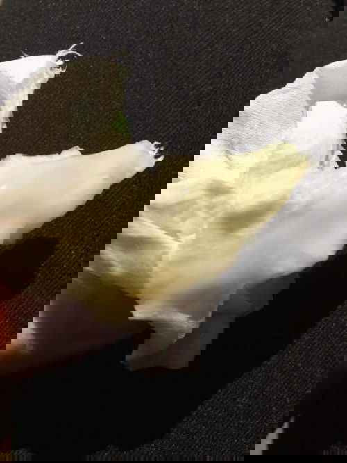 Các mom cho e hỏi đây có phải bị bong nút nhầy rồi ko ạ