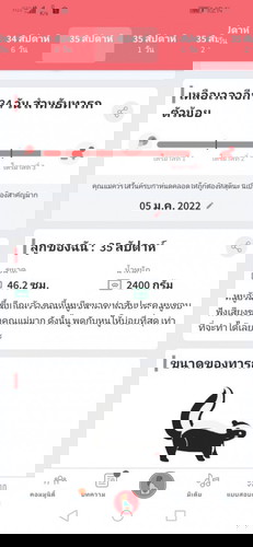 ทีมมกราคม