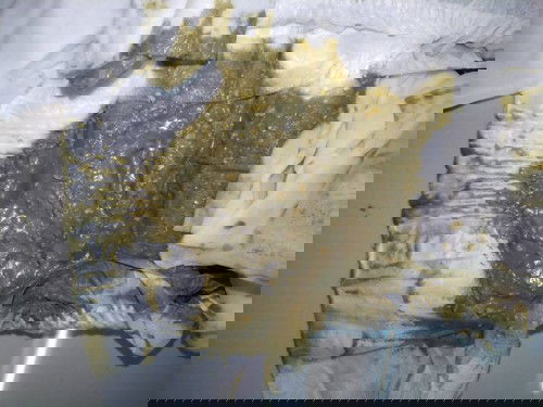 นมผงเพิ่งคลอดได้2เดือนค่ะ