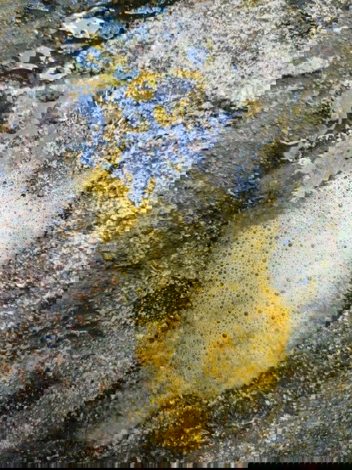 น้อง4เดื่อนถ่ายแบบนี้ปกติไหมคะ
ดื่มนมแม่ล้วนแต่น้องได้ยาฆ่าเชื้อ​มากินด้วยน้องถ่ายออกเขียวๆมีน้ำอะคะ