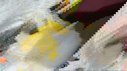 Tanda bayi 3 bulan diare