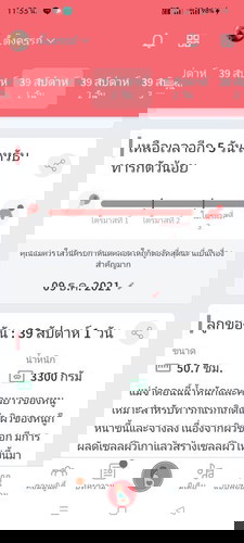แม่ๆทีมธันวาคม