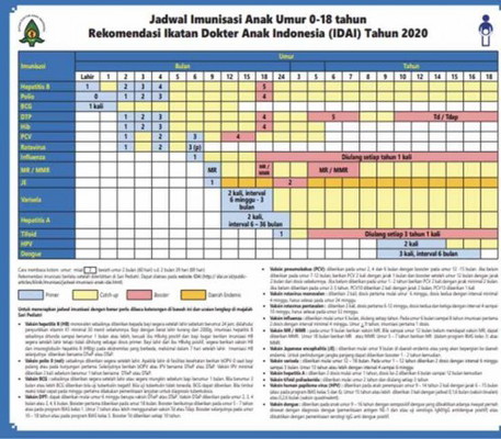 Jadwal imunisasi rekomendasi IDAI